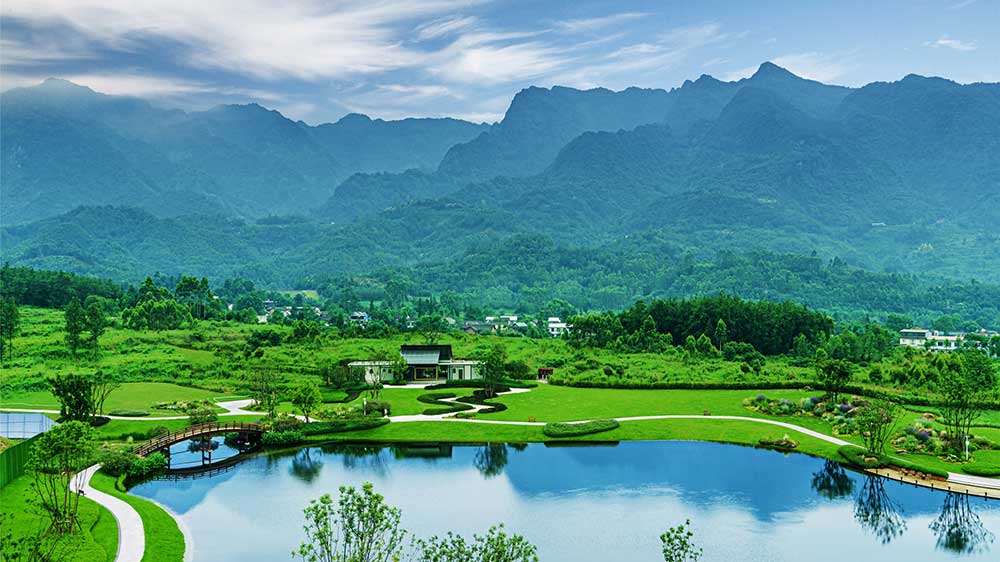 高桥里 高桥里.jpg