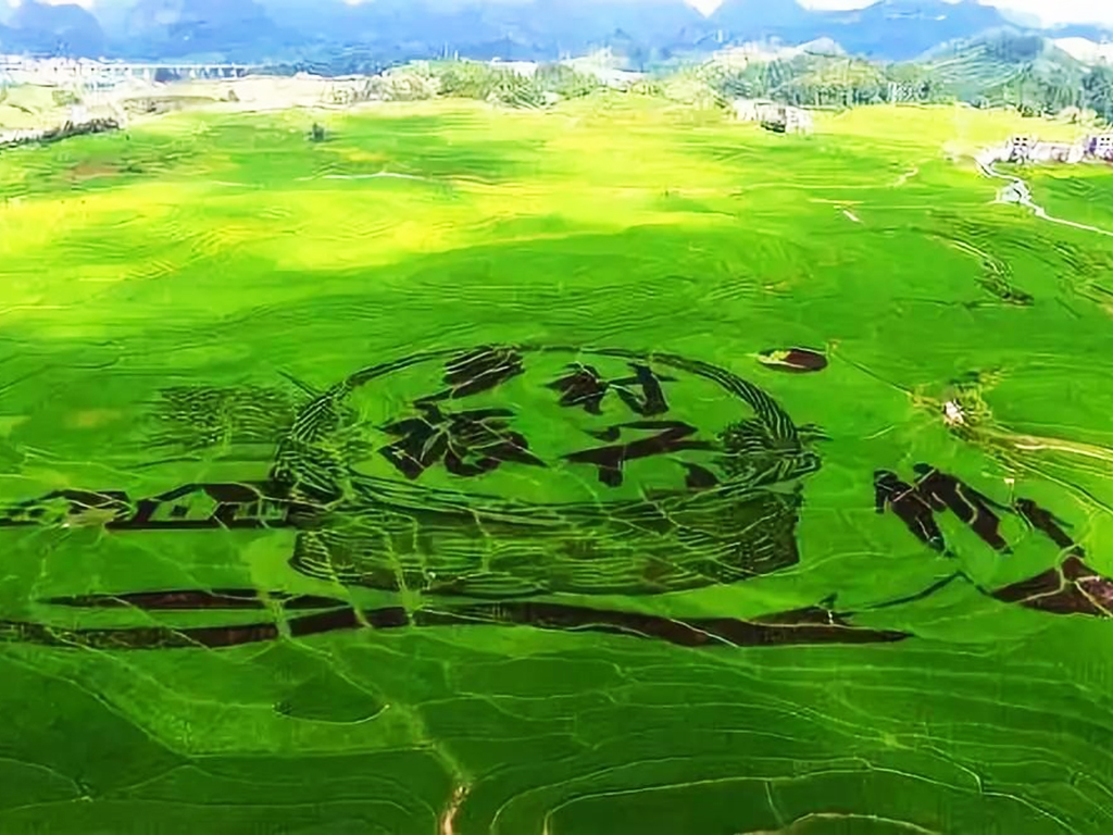 乡村振兴.jpg
