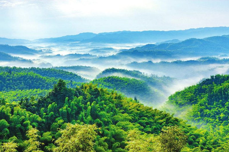 蜀南竹海美景(曾朗摄).jpg