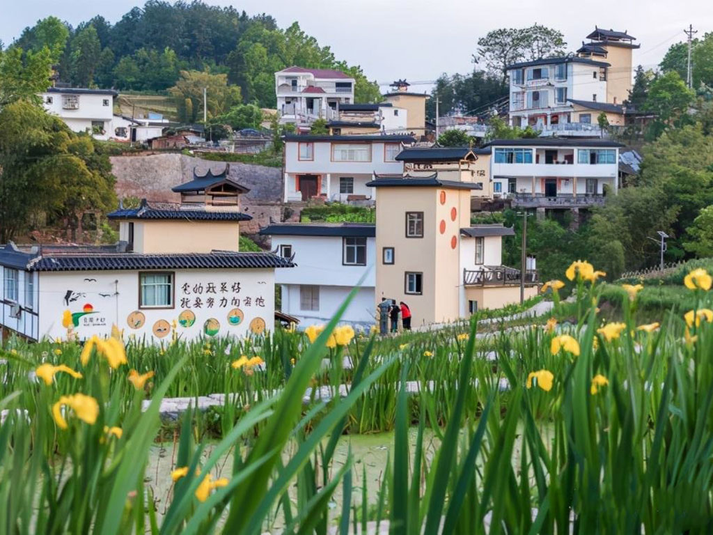 武隆区芙蓉街道.jpg