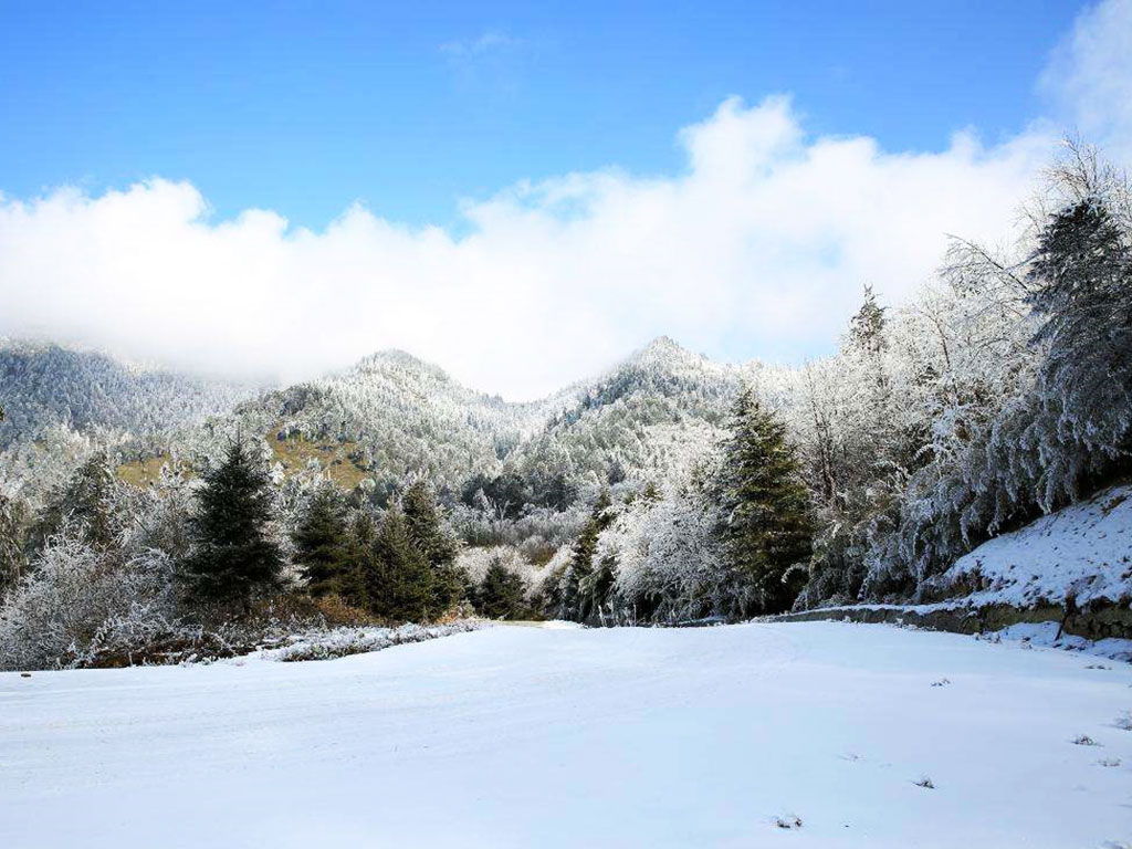 王岗坪景区滑雪场.jpg