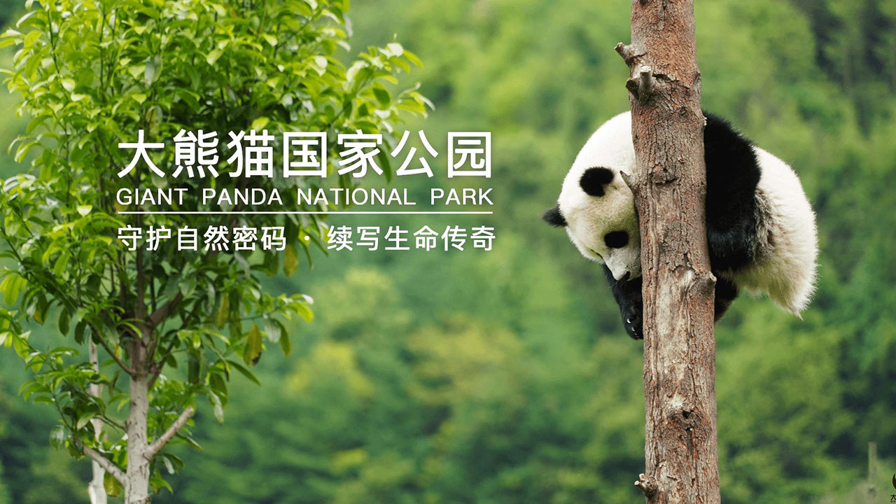大熊猫国家公园图.jpg