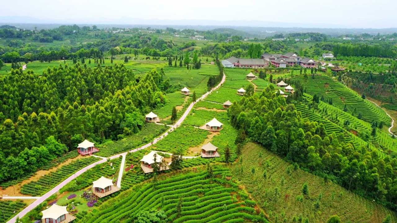 蒙顶山国家茶叶公园.jpg