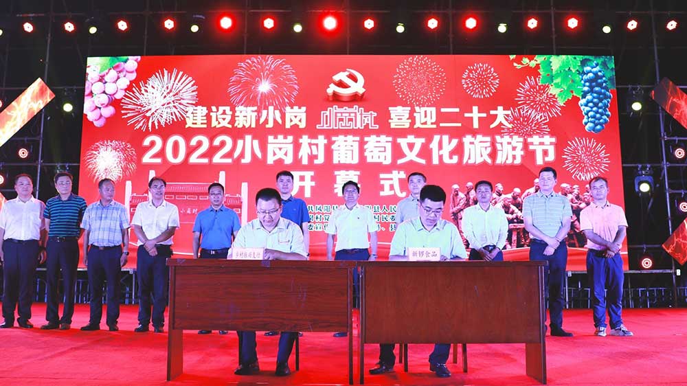 小岗村文旅节开幕式.jpg