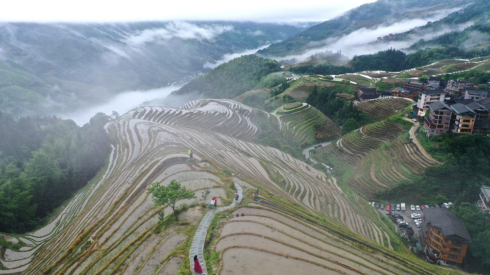 龙脊梯田景区.jpg