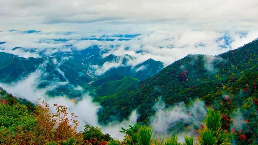 杭州天目山..jpg