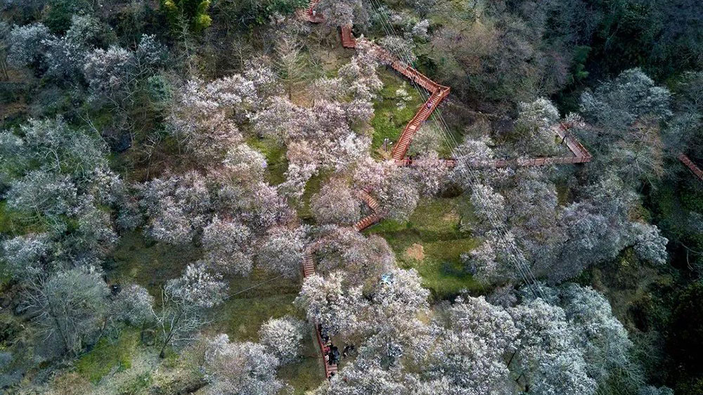 春游绵阳·观花乡野.jpg
