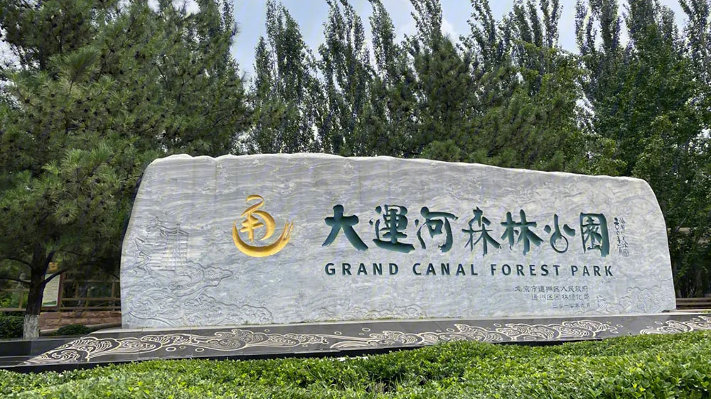 大运河森林公园.jpg