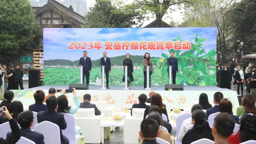 2023年安岳文旅推介会现场.jpg