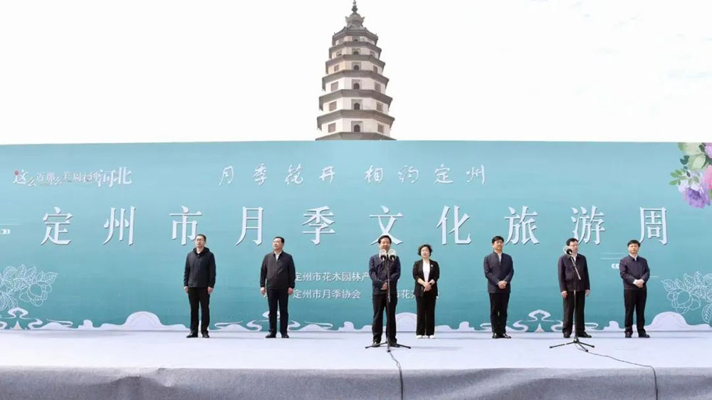定州市首届月季文化旅游周.jpg