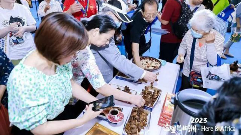 2023“这里是非洲”非洲旅游推介会展览.jpg
