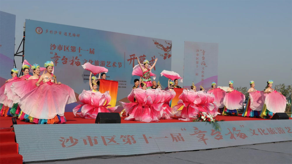 沙市区第十一届“章台梅”文化旅游艺术节现场.jpg