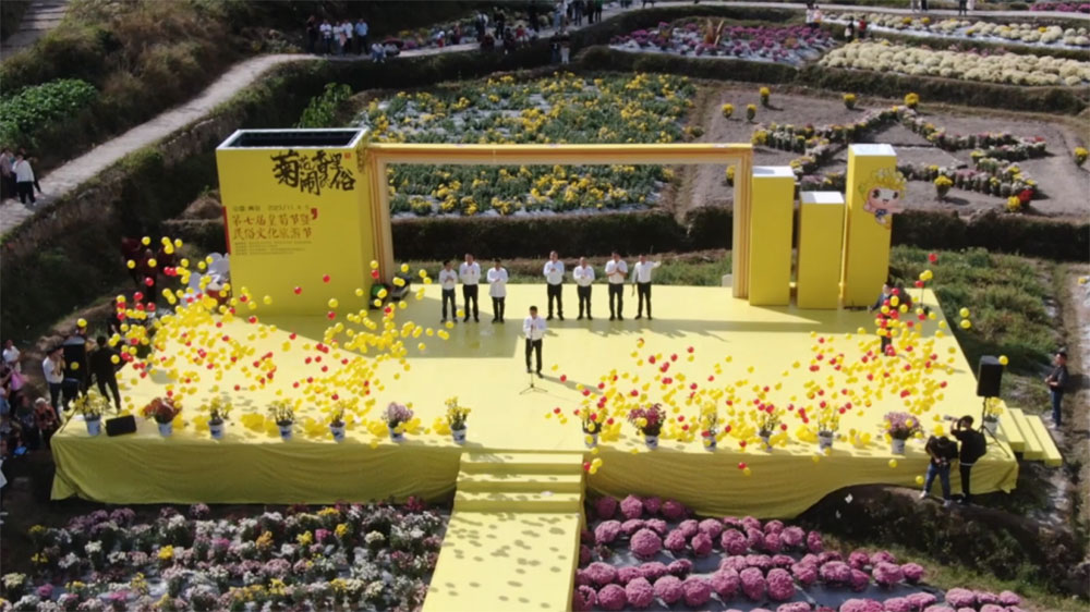 中国青田2023第七届皇菊节.jpg