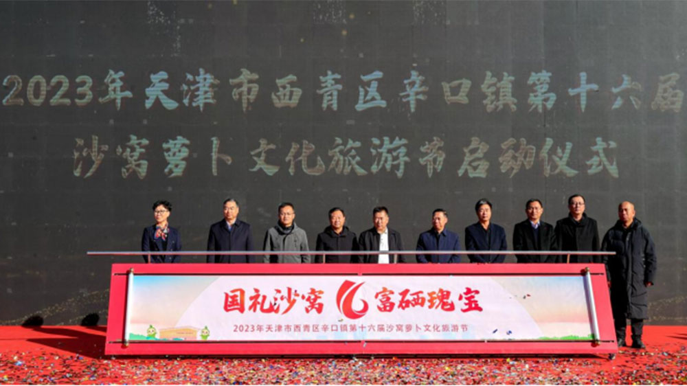 第十六届沙窝萝卜文化旅游节.jpg