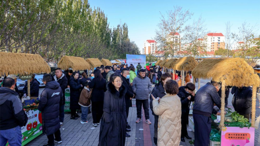 第十六届沙窝萝卜文化旅游节展区.jpg