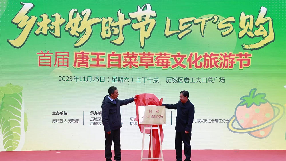 历城区首届白菜草莓文化旅游节.jpg