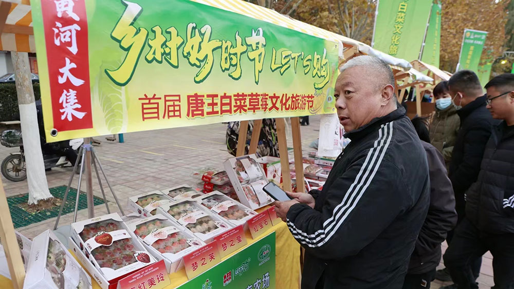 历城区首届白菜草莓文化旅游节展品.jpg