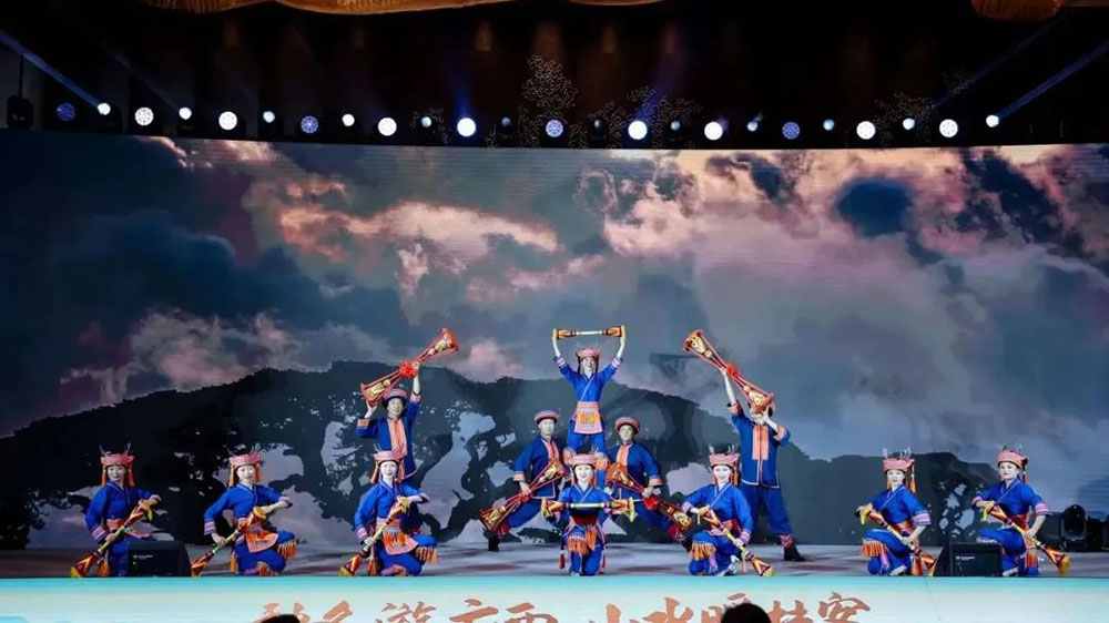 “康养来宾”文化旅游推介会现场文艺表演.jpg