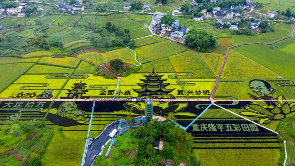 重庆袁隆平五彩田园.jpg