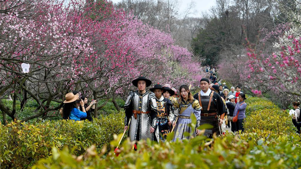 第二十九届中国南京国际梅花节现场图.jpg