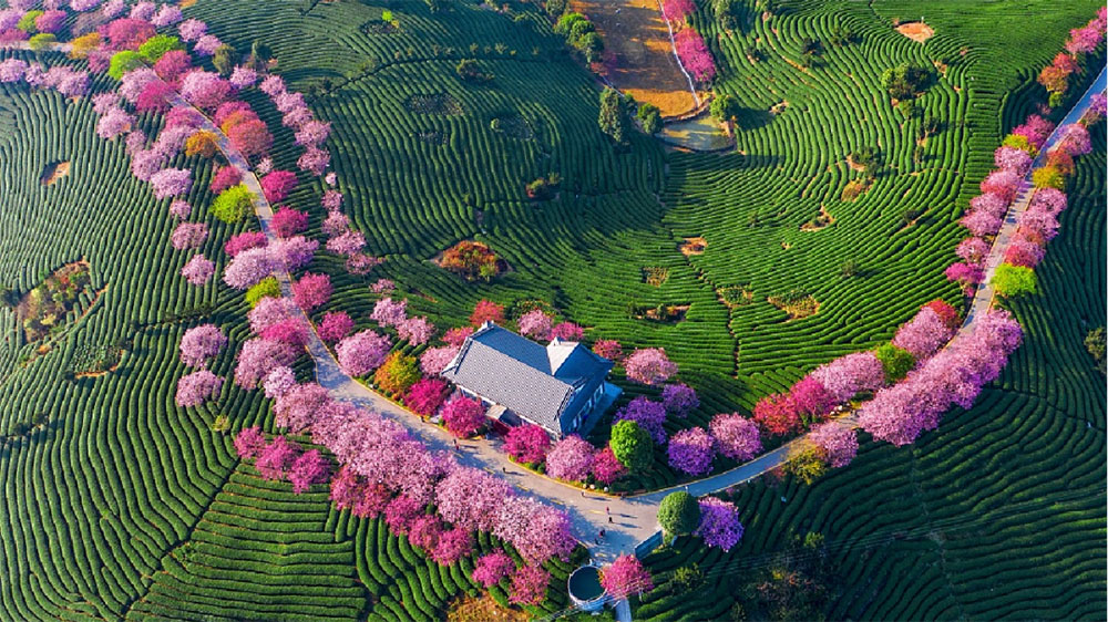 旅游公路配图.jpg