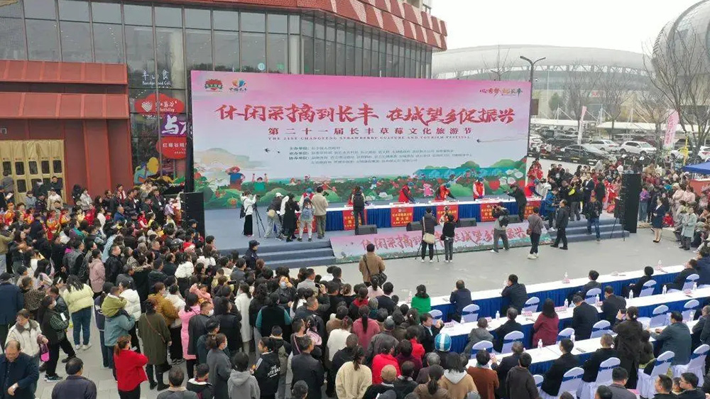 第二十一届长丰草莓文化旅游节.jpg