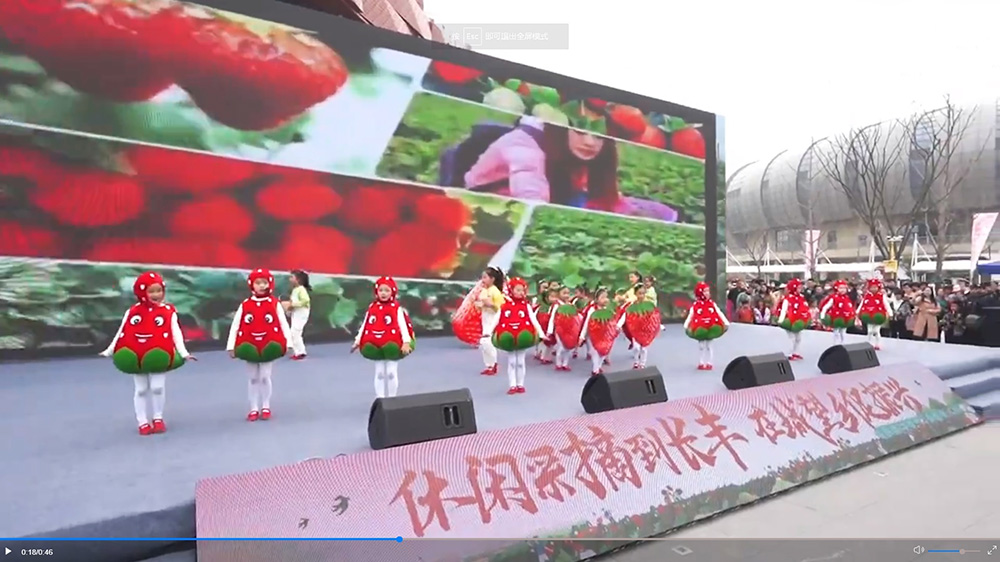 第二十一届长丰草莓文化旅游节文艺表演.jpg