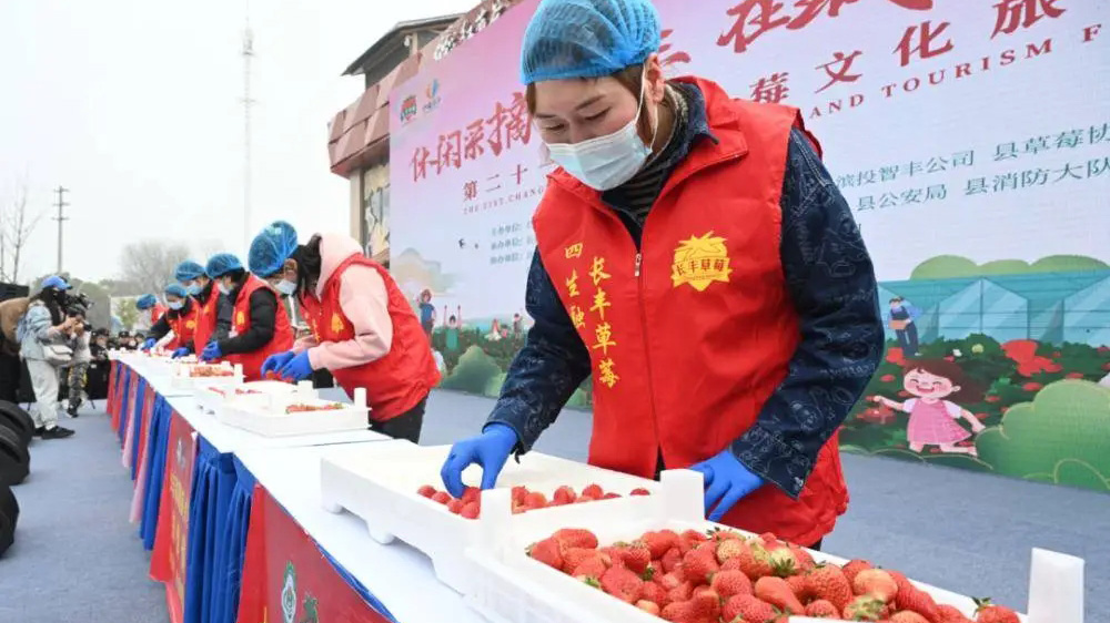 第二十一届长丰草莓文化旅游节现场.jpg