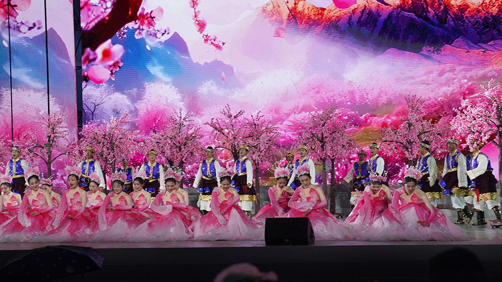 林芝第二十一届桃花旅游文化节现场节目.jpg