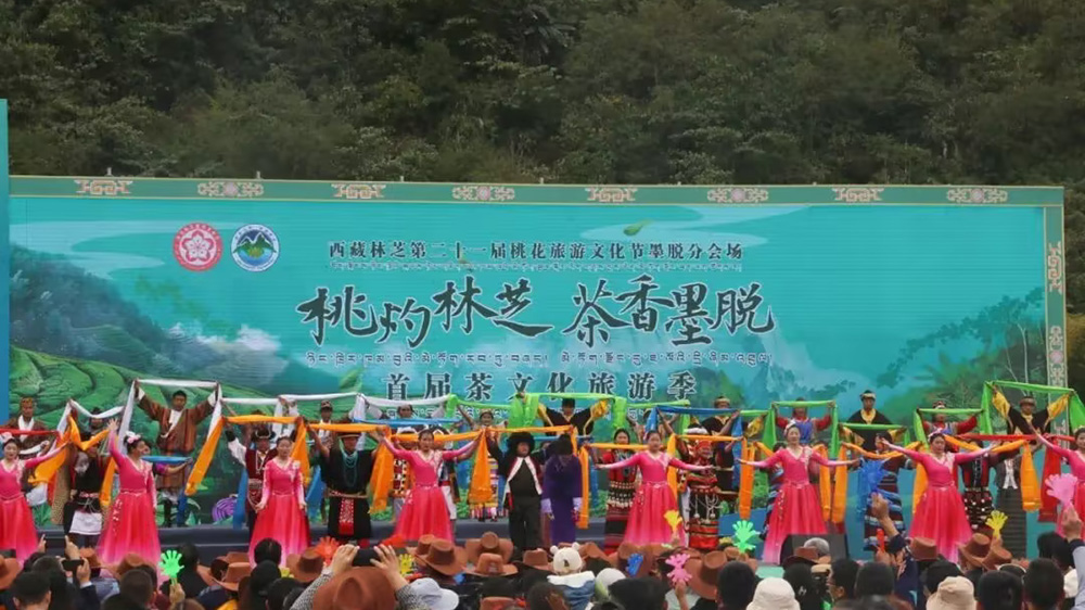 墨脱县首届茶文化旅游季节目.jpg