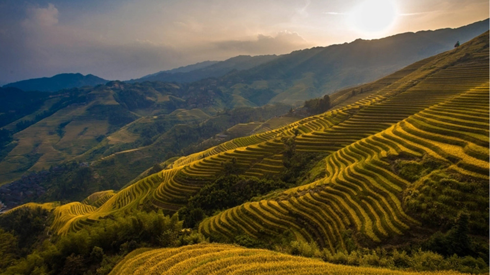 龙脊梯田.jpg