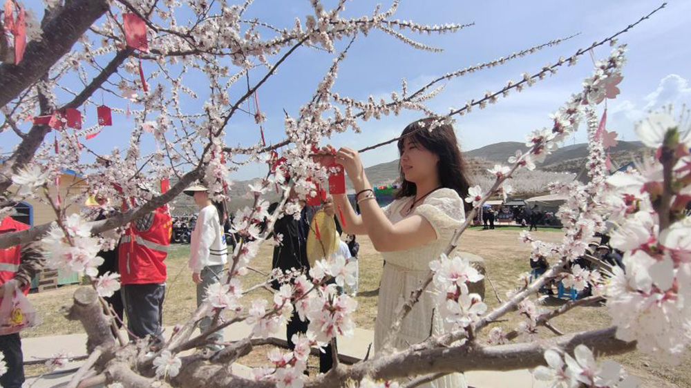 “杏福岭”杏花文化旅游周现场.jpg