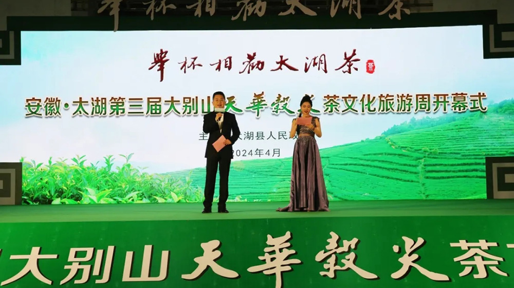 太湖县第三届大别山天华谷尖茶文化旅游周现场.jpg