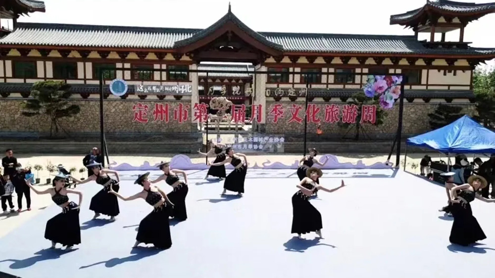 定州市第二届月季文化旅游周现场舞蹈.jpg