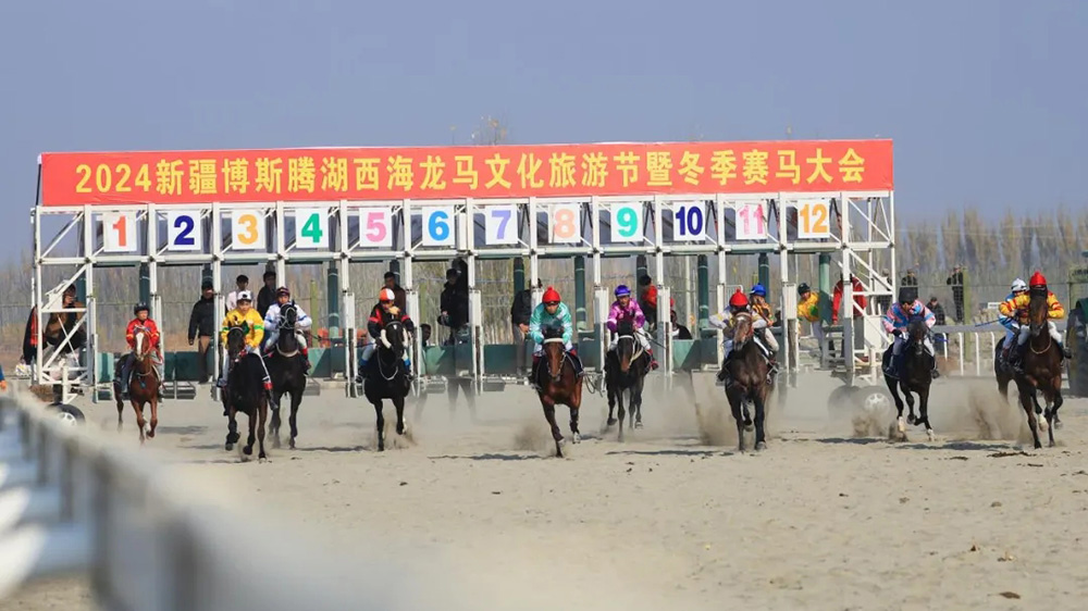 2024新疆博斯腾湖西海龙马文化旅游节现场赛马.jpg