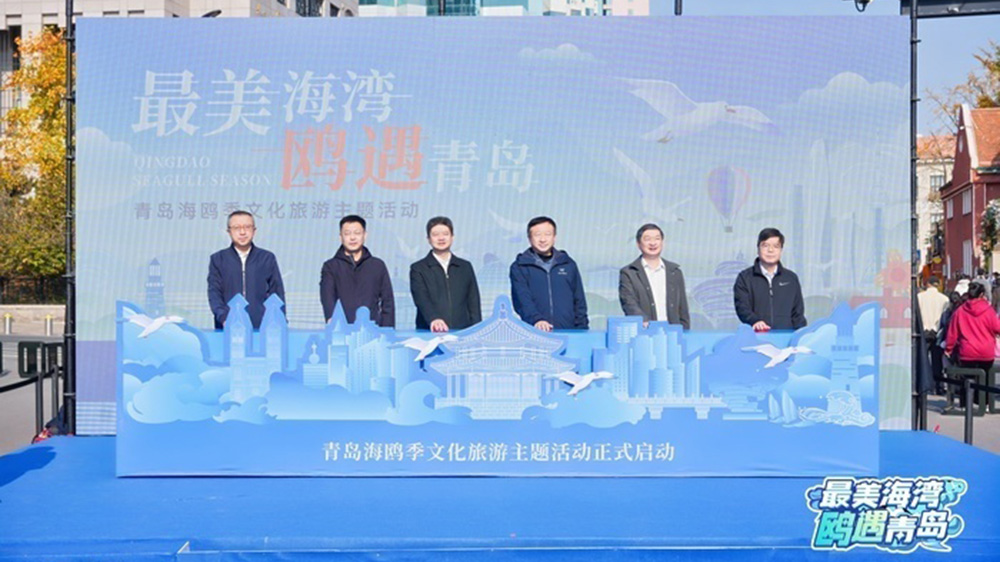 青岛海鸥季文化旅游主题活动.jpg