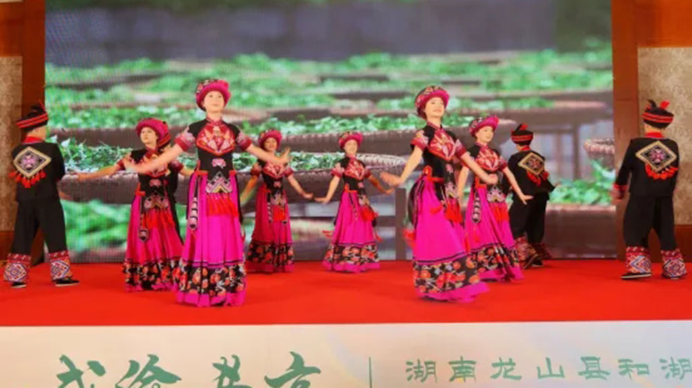 湖南省龙山县和湖北省来凤县文化旅游协作推介大会现场.jpg
