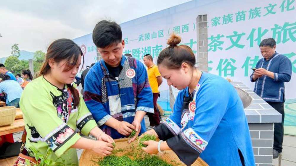 2025茶祖节暨湖南(古丈)茶文化旅游节现场.jpg