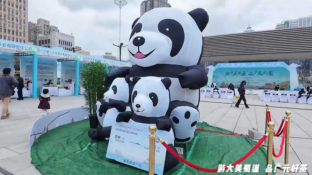 2025广元市文化旅游和茶产业推介会展区.jpg