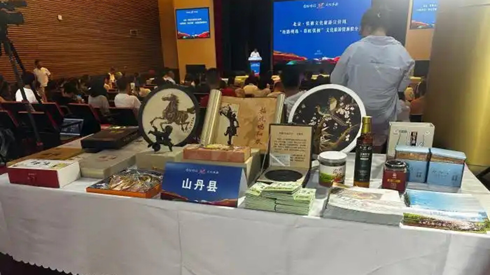 丝路明珠 彩虹张掖文化旅游资源推介会现场.jpeg