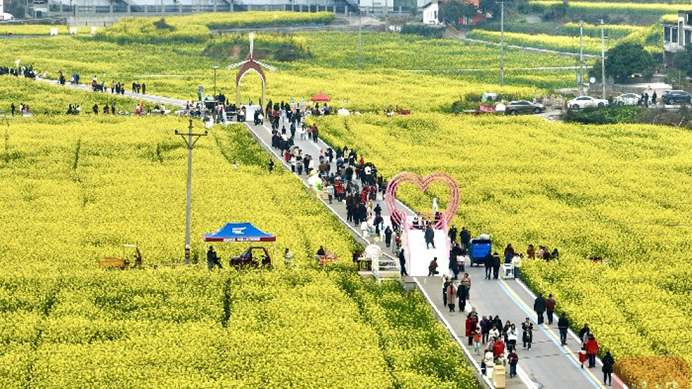 高县庆岭镇游人如织.jpg