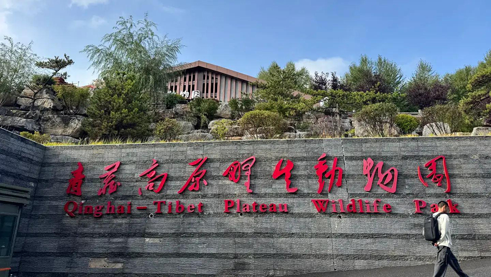 青藏高原野生动物园.jpg