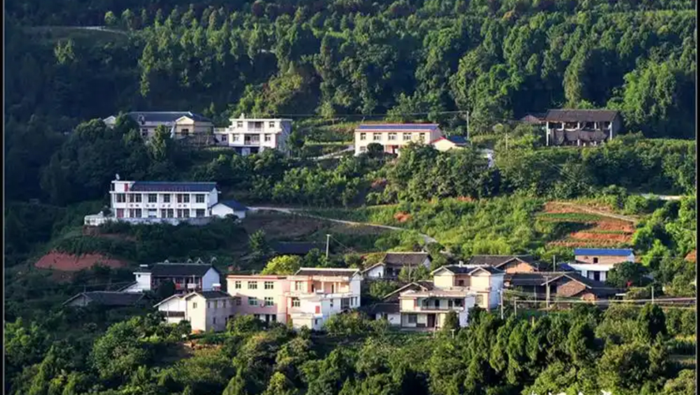 东青镇.jpg