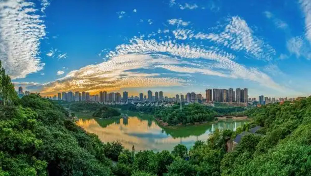 九龙坡区城市风景.jpg