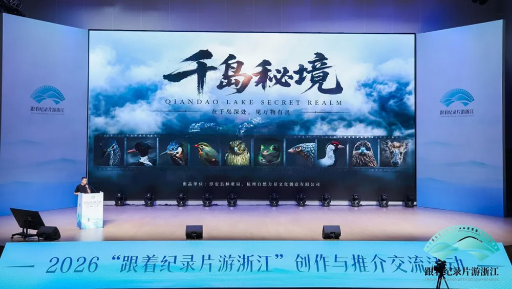 “跟着纪录片游浙江”提案路演对接会现场.jpg